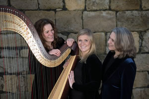 The Austen Trio standing with a harp and block wall background
